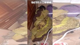 貧婦確診帶腦癌女睡陽台　警掏8千渡難關