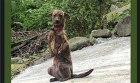 （圖／翻攝自米克斯傳奇）