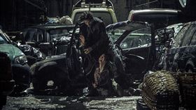 《智齒》劇照。（圖／華映提供）