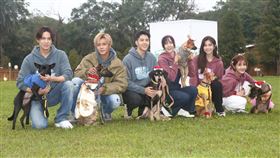 羅志祥（楊澍攝影）