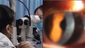 （圖／翻攝自山海視頻）