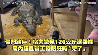 宿舍驚見120kg暹羅鱷　員工傻眼狂喊完了
