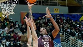 臺南台鋼獵鷹阿修羅。（資料圖／T1聯盟提供）