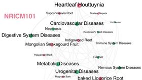 ▲台師大與台大團隊解析清冠一號中草藥，以及經絡疾病網絡，紅色和綠色的點代表草藥和疾病 。（圖／台師大提供）