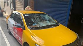 新北市,樹林,墜樓,貓咪,主子,