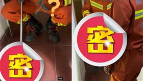 消防員,蛇,報案,菜罩,馬鈴薯