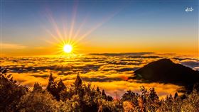 攝影老師林文添提供