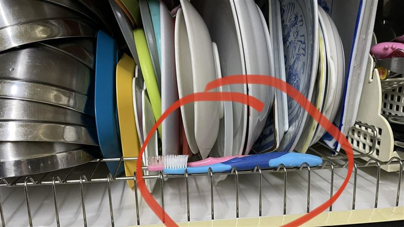 大嫂自認愛乾淨「牙刷放烘碗機烘」她看傻
