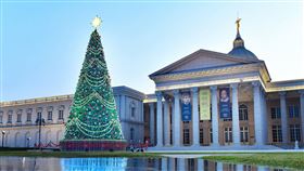 台南,奇美博物館,聖誕週末,幸福聖誕樹,演出,小提琴