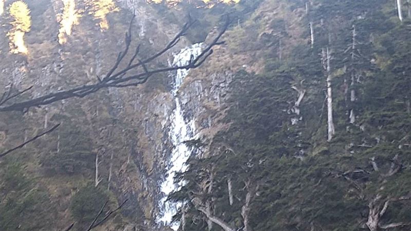 低溫奇景！能高瀑布「結冰」凍成巨大冰柱