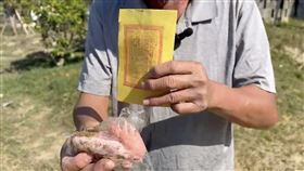 台南,雞頭,下降頭,宮廟,還願,拜拜,父親,長髮