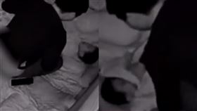 （圖／翻攝自小燃視頻）