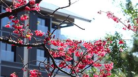 位在北投、以台式精緻款待聞名的麗禧溫泉酒店，有讓人一出門即出國的驚喜錯覺。（圖／旅宿業者提供）