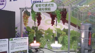 結合永續低碳智慧感測　農工科技創高產值