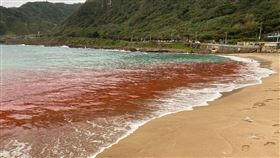 紅潮,翻攝自基隆人,