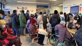 文 中半數染疫1200