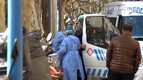 文 中半數染疫1200