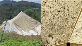 體驗「1晚近1萬」懶人露營！開箱結果超噁