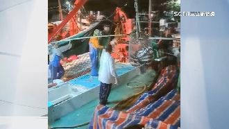 捕獲1萬尾烏魚大豐收！壯觀場面引圍觀