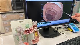 1229(中華民國大腸直腸外科醫學會)