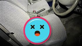 椰子蟹,駕駛座,螃蟹,車主