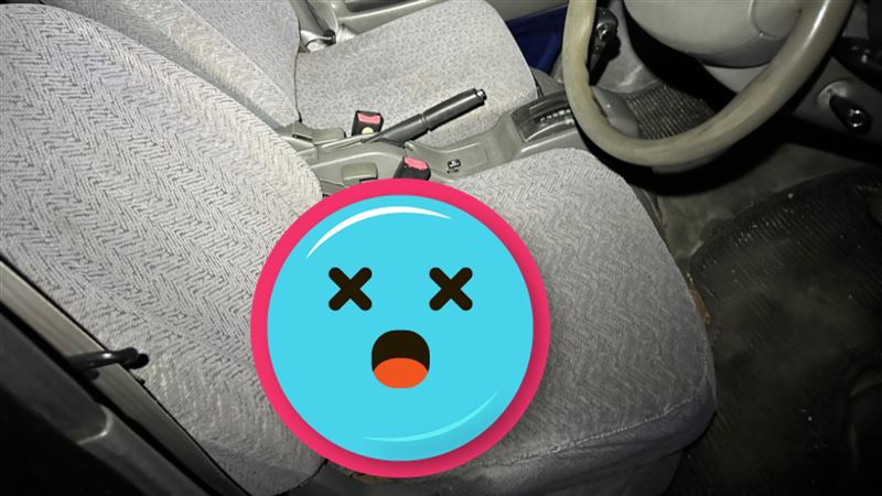 超生猛乘客霸佔駕駛座！車主下半身差點GG