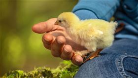 手淫,偷菜,淡定,妨害風化,竊盜