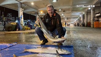 土魠洄游澎湖　外國人搶搭白金熱潮