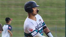 ▲林家正打澳洲職棒。（圖／取自Auckland Tuatara官網）