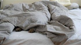 AA制,初夜,清潔費,開房費