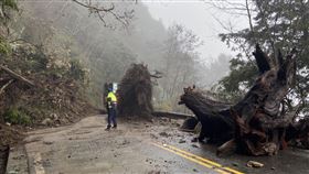 太平山,坍方,日出,林務局,中斷