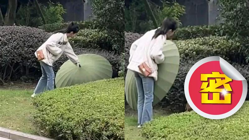 草地見打開雨傘　正妹好奇一拿開結果尷尬