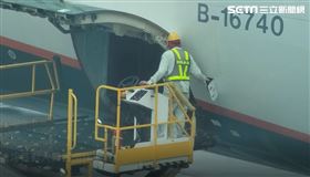 ▲長榮航勤董事長陳有玉、總經理林大淵和多位主管 衝第一線搬行李 畫面 轉盤 盤櫃 停機坪 （圖／記者張昱傑攝影） 