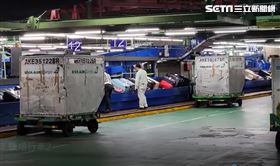 ▲長榮航勤董事長陳有玉、總經理林大淵和多位主管 衝第一線搬行李 畫面 轉盤 盤櫃 停機坪 （圖／記者張昱傑攝影） 