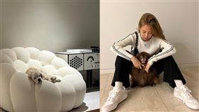 ▲Jennie一張約超過50萬的傢俱背景的照片，讓網友直呼「好想當Jennie的狗狗」。（圖／翻攝Jennie IG）