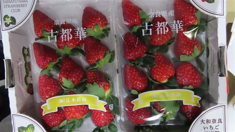 日本草莓6批出包　4縣市草莓農藥都超標