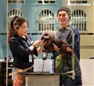 吳宗憲帶愛犬洗澎澎美容。（記者邱榮吉/攝影）