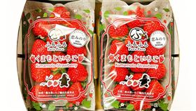 熊本縣產地直送冬季必吃的熊本縣熊紅草莓特價$950元。（圖／品牌業者提供）