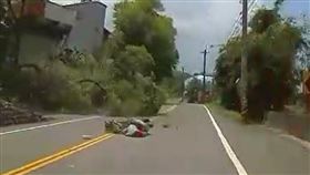 苗栗婦人騎機車遭路樹砸中，送醫不治。封路鋸樹的男子依過失致死罪判刑。（圖／翻攝畫面）
