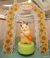 《助六の日常》來了！快閃店登場別錯過！