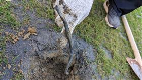 高虹安,新竹市棒球場,廢棄物（圖／新竹市政府提供）