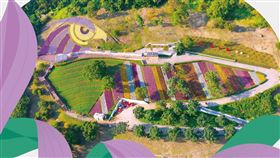 「花IN台北」花季活動。（圖／北市府提供）