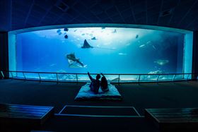 2023年屏東海生館第一對新人誕生！（業配勿用）