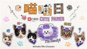 攻城獅舉辦寵物主題「喵喵日」，邀請毛小孩陪主人來看球。（圖／新竹街口攻城獅）
