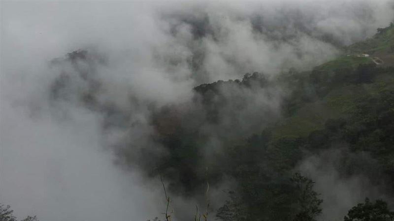 地主挖出50個骨灰甕！乩身幫處理下場超慘