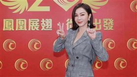 ▲陳美鳳的童年也曾被養父家暴，在鄰居面前被痛毆讓她痛哭也不敢出聲。（圖／翻攝陳美鳳臉書）