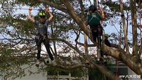 唐振剛李懿(八大提供)