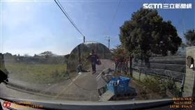 高雄,藏獒,獒犬,郵差,杉林