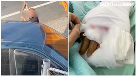 屏東,砂石車,土地,樹枝