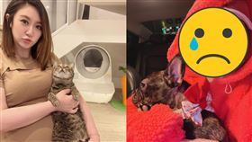 ▲蔡允潔在去婦產科回診時，才順路去眼科開了小刀解決針眼問題。（圖／翻攝蔡允潔臉書）